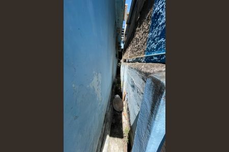 Casa para alugar com 300m², 4 quartos e 5 vagasQuintal