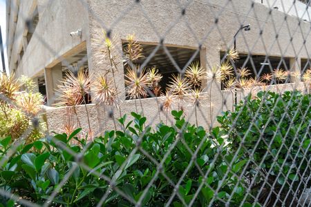 Apartamento para alugar com 43m², 2 quartos e 1 vaga