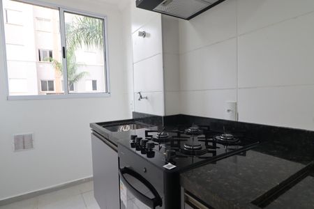 Cozinha de apartamento para alugar com 2 quartos, 54m² em Adelino Simioni, Ribeirão Preto