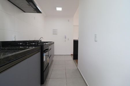 Cozinha de apartamento para alugar com 2 quartos, 54m² em Adelino Simioni, Ribeirão Preto