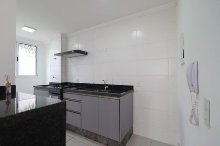 Cozinha de apartamento para alugar com 2 quartos, 54m² em Adelino Simioni, Ribeirão Preto