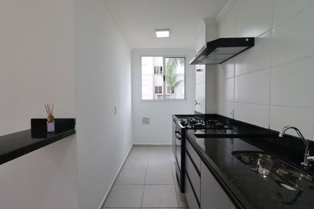 Cozinha de apartamento para alugar com 2 quartos, 54m² em Adelino Simioni, Ribeirão Preto