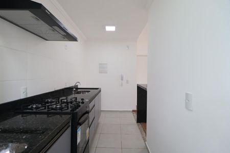 Cozinha de apartamento para alugar com 2 quartos, 54m² em Adelino Simioni, Ribeirão Preto