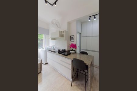 Cozinha de apartamento para alugar com 1 quarto, 30m² em Centro Histórico de São Paulo, São Paulo