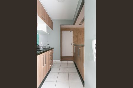 Apartamento para alugar com 50m², 2 quartos e 1 vagaCozinha - Armários