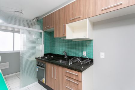 Apartamento para alugar com 50m², 2 quartos e 1 vagaCozinha - Armários