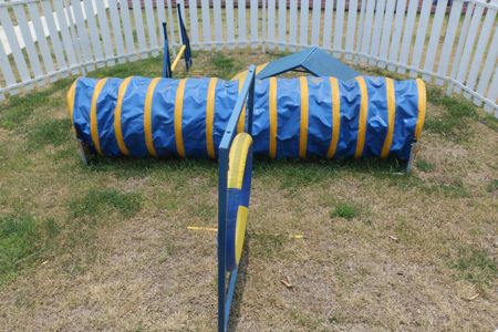 area pet de apartamento para alugar com 2 quartos, 42m² em Jardim Alvorada, Nova Iguaçu