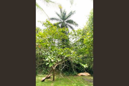 Casa de condomínio à venda com 270m², 4 quartos e 1 vagaÁrea externa