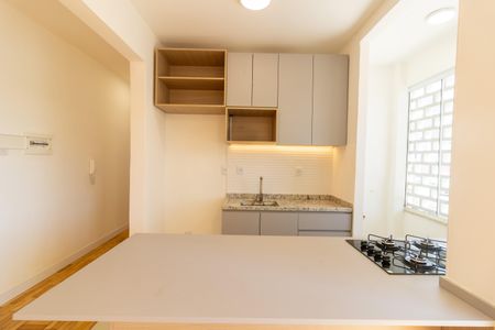Apartamento à venda com 60m², 2 quartos e sem vagaCozinha