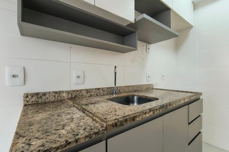 Apartamento para alugar com 55m², 2 quartos e 1 vagaCozinha - Armários