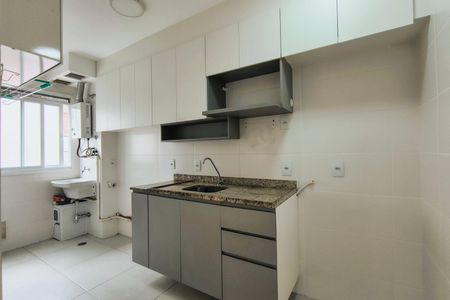 Apartamento para alugar com 55m², 2 quartos e 1 vagaCozinha - Armários