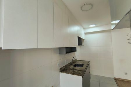Apartamento para alugar com 55m², 2 quartos e 1 vagaCozinha - Armários