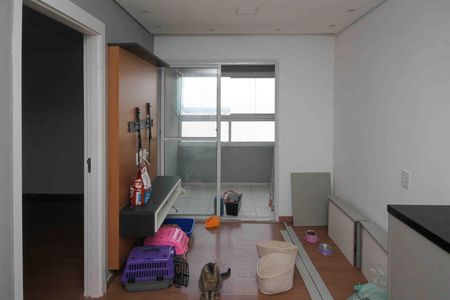 Sala de apartamento para alugar com 2 quartos, 43m² em Jardim Adutora, São Paulo