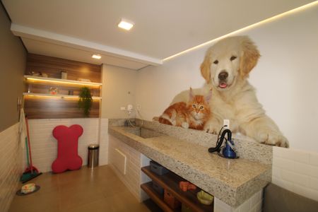 Apartamento à venda com 31m², 1 quarto e sem vagaÁrea Comum - Petshop