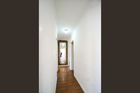 Corredor dos quartos de apartamento para alugar com 3 quartos, 78m² em Parque São Jorge, São Paulo