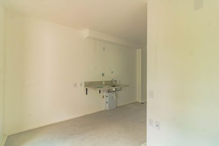 Kitnet/Studio para alugar com 1 quarto, 35m² em Vila Santa Catarina, São Paulo