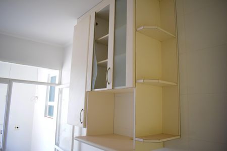 Apartamento para alugar com 64m², 2 quartos e 1 vagaCozinha - Armários