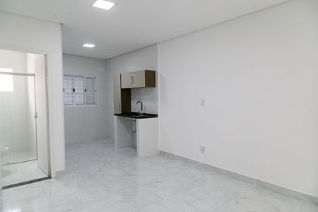 Sala de kitnet/studio para alugar com 1 quarto, 18m² em Pompéia, Belo Horizonte