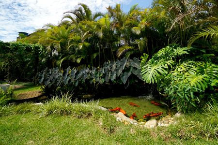 Apartamento à venda com 76m², 3 quartos e 1 vaga Apartamento à venda com 76m², 3 quartos e 1 vagaLago de carpas