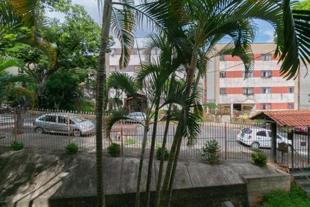 Apartamento para alugar com 2 quartos, 54m² em Serrano, Belo Horizonte