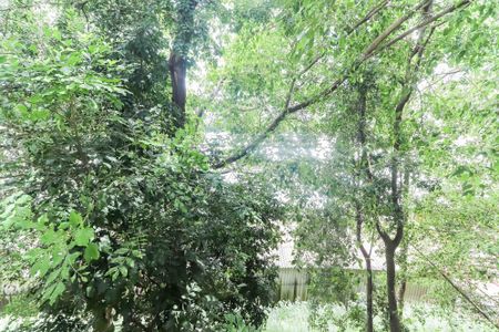 Casa para alugar com 79m², 2 quartos e 1 vagaVista