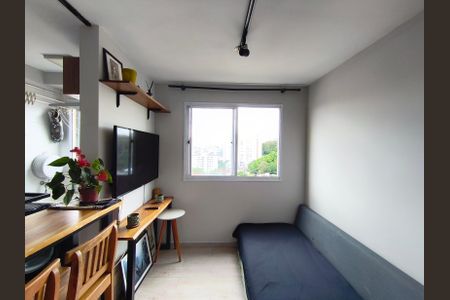 Sala de apartamento para alugar com 2 quartos, 40m² em Cambuci, São Paulo