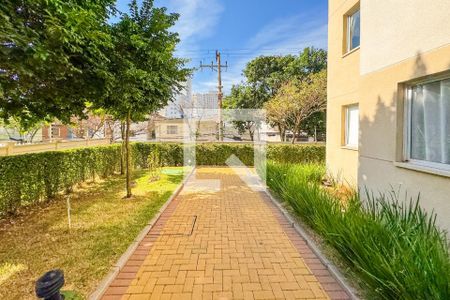 Apartamento para alugar com 40m², 2 quartos e sem vaga Apartamento para alugar com 40m², 2 quartos e sem vagaÁrea Externa