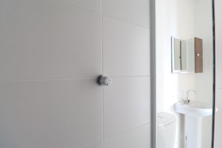 Banheiro de apartamento para alugar com 2 quartos, 43m² em Barra Funda, São Paulo