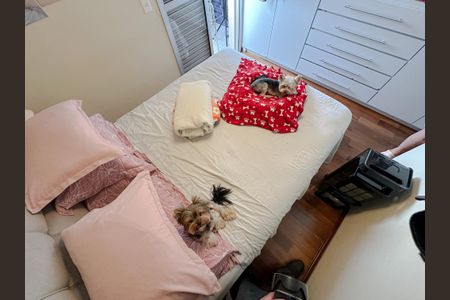 Apartamento para alugar com 50m², 2 quartos e 1 vagaSuíte