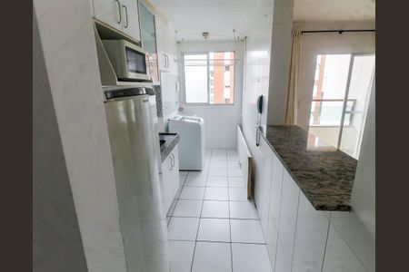Apartamento para alugar com 49m², 2 quartos e 1 vagaCozinha - Armários