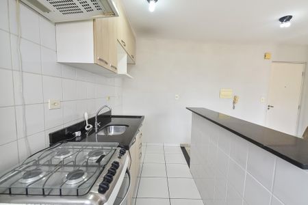 Apartamento para alugar com 44m², 1 quarto e sem vagaCozinha