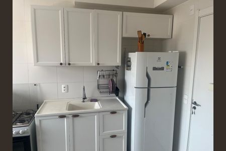 Cozinha de apartamento para alugar com 2 quartos, 31m² em Cambuci, São Paulo