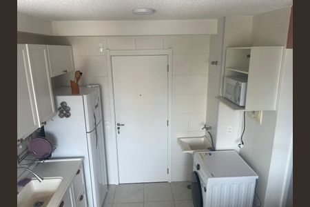 Cozinha de apartamento para alugar com 2 quartos, 31m² em Cambuci, São Paulo