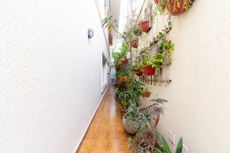Corredor Externo de casa à venda com 4 quartos, 327m² em Planalto Paulista, São Paulo