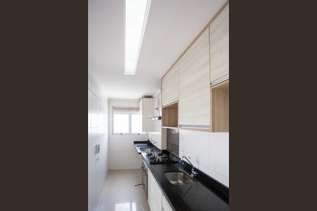 Apartamento para alugar com 48m², 2 quartos e 1 vagaCozinha