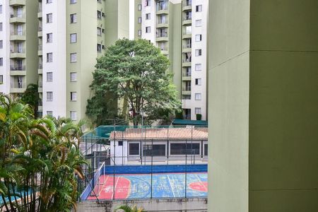 Apartamento para alugar com 48m², 2 quartos e 1 vagaVista do Quarto 1