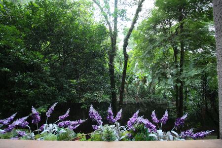 Vista da janela de apartamento para alugar com 2 quartos, 58m² em Vila Andrade, São Paulo
