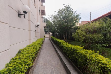 Apartamento para alugar com 68m², 3 quartos e 1 vagaCondomínio 