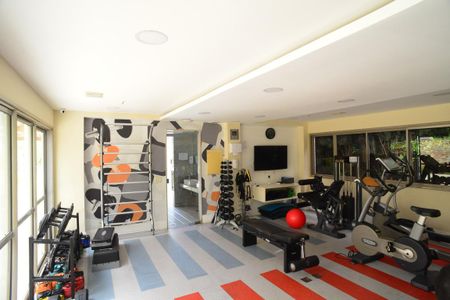 Apartamento para alugar com 497m², 4 quartos e 5 vagasÁrea Comum - Academia