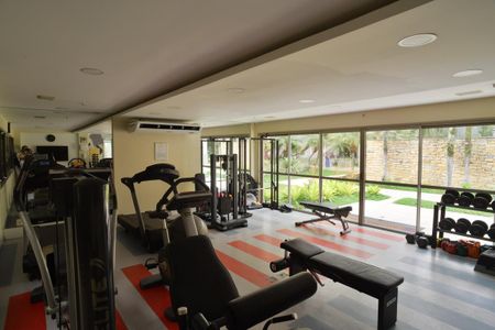 Apartamento para alugar com 497m², 4 quartos e 5 vagasÁrea Comum - Academia