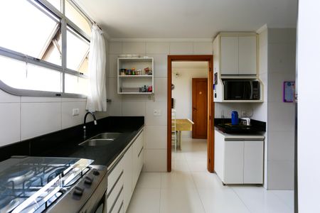 Apartamento à venda com 235m², 4 quartos e 5 vagascozinha