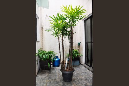 Casa à venda com 186m², 3 quartos e 6 vagas Casa à venda com 186m², 3 quartos e 6 vagasDetalhe - Jardim de Inverno