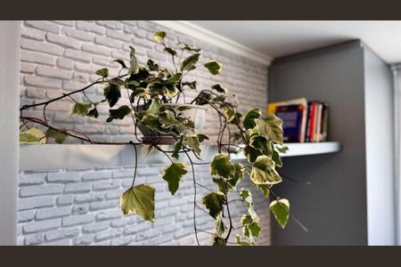 Apartamento para alugar com 1 quarto, 30m² em QMSW 5, Brasília