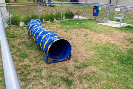 Apartamento para alugar com 44m², 2 quartos e sem vaga Apartamento para alugar com 44m², 2 quartos e sem vagaPet Place