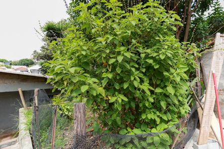 Casa à venda com 250m², 4 quartos e 2 vagas Casa à venda com 250m², 4 quartos e 2 vagasQuintal e jardim