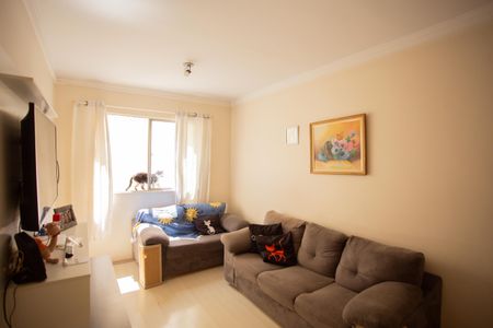 SALA de apartamento para alugar com 2 quartos, 50m² em Vila Mirante, São Paulo