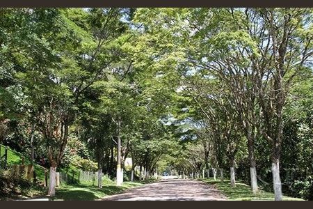 Casa de condomínio à venda com 238m², 3 quartos e 2 vagas