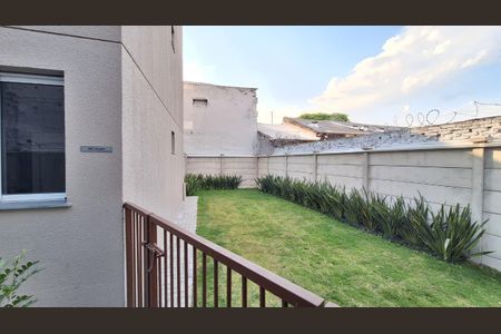 Apartamento para alugar com 24m², 1 quarto e sem vagaPet Place