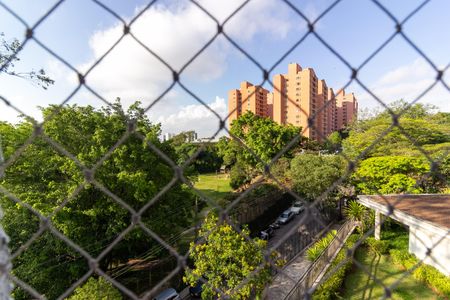 Apartamento à venda com 75m², 3 quartos e 1 vaga Apartamento à venda com 75m², 3 quartos e 1 vagaVista Quarto 2