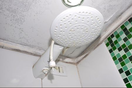 Apartamento à venda com 60m², 3 quartos e 1 vaga Apartamento à venda com 60m², 3 quartos e 1 vagaDetalhe - Banheiro Social